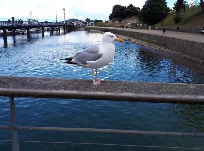 La Mariniere Apartamento *